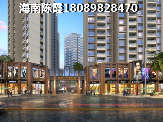 限购可以中止琼海博鳌镇房价高涨