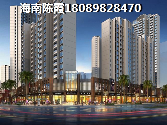 乐东九所新区小户型