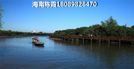 2023年万宁兴隆镇房价会怎样？