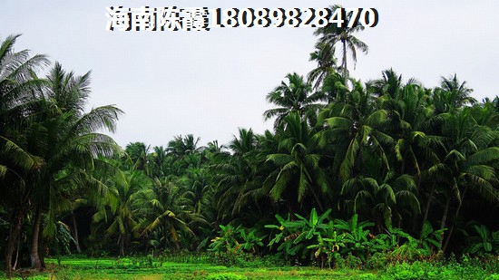 >2024海南购房解读