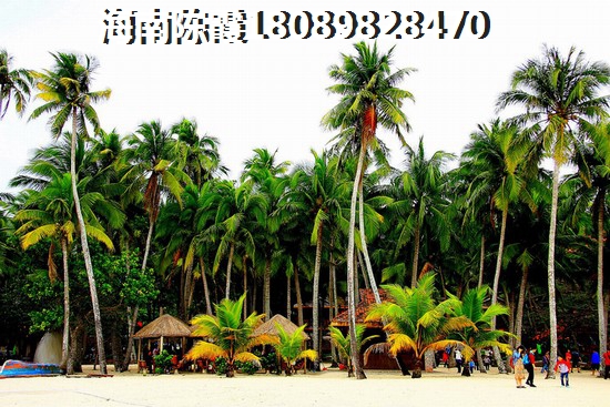 富力在海南万宁市的楼盘还有上涨空间么