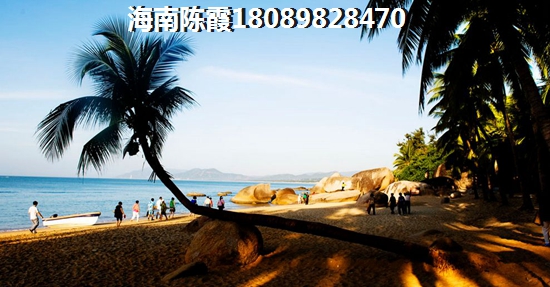 2025年临高房价会降还是会涨！