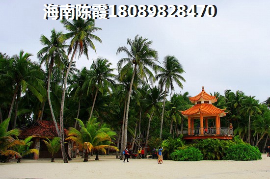 陵水哪区域不潮湿还不太热？