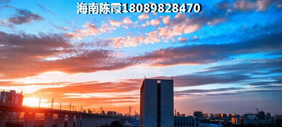 重庆去海南买房子的多吗