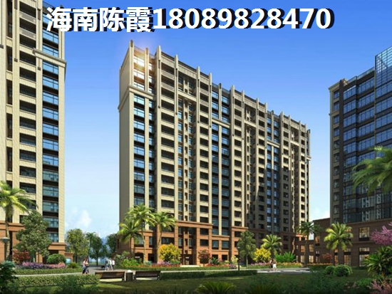 未来海南最有发展前景的区域